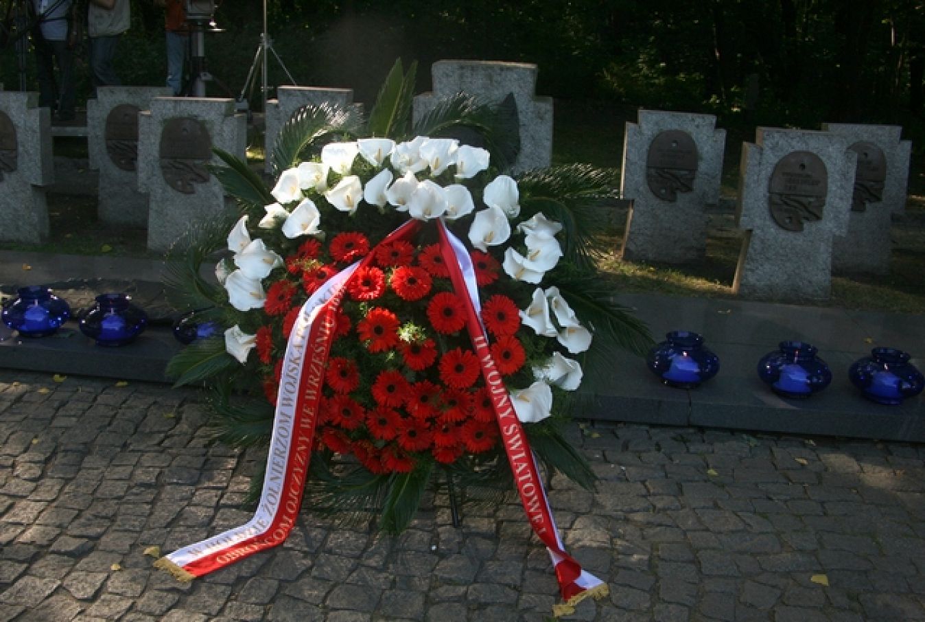 249920145.jpg