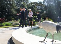 dwnld471_andrzej_duda_5_lat_prezydentury_20180821_003_australia_20180821_jsz_6107.jpg
