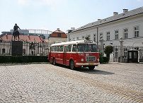 873725908.jpg