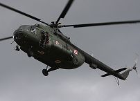 828099306.jpg