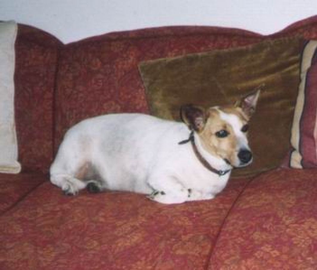 1628292722.jpg