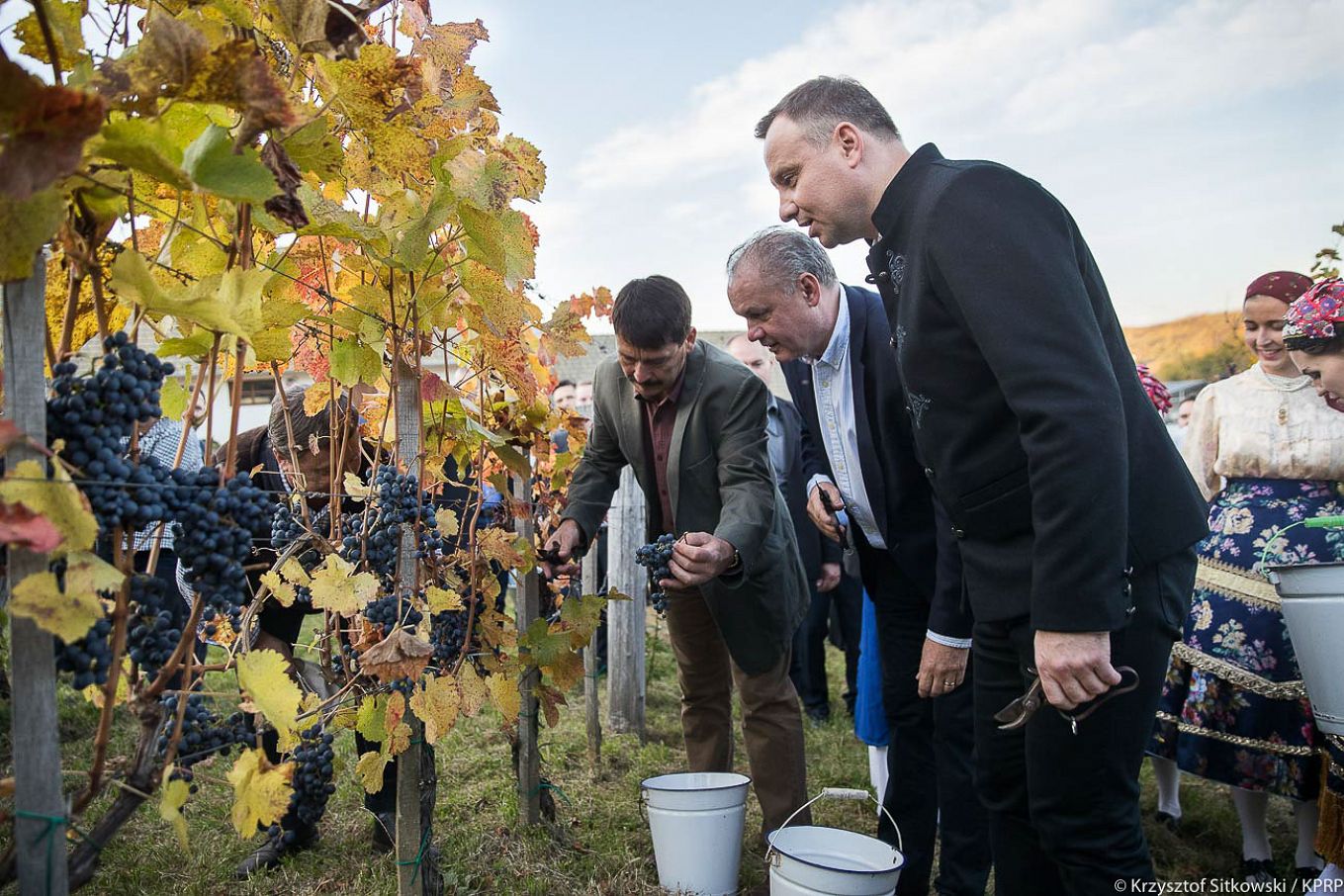 dwnld346_andrzej_duda_5_lat_prezydentury_20171013_51_20171013_sit_0789.jpg