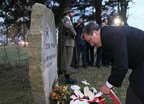 262046454.jpg