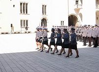 1605950958.jpg