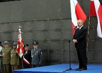 1955759625.jpg