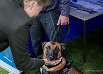 36__agata_kornhauser_duda_rutki_kossowskie_210930_gjb_2308.jpg