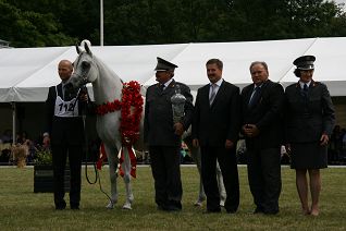 o427077242.jpg