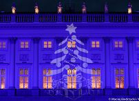 o247982228.jpg