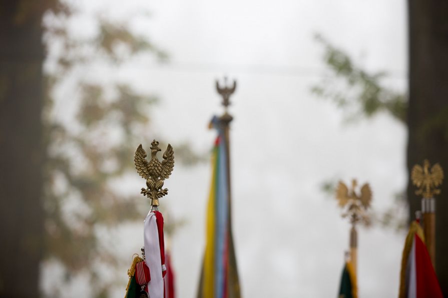 o757670779.jpg