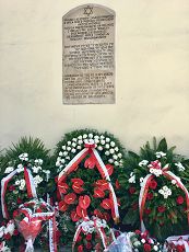 o13016136.jpg