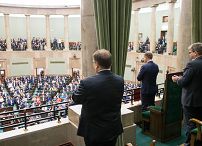 o917770743.jpg