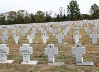 o809575098.jpg