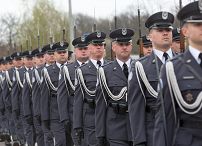 o1915315389.jpg
