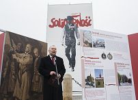 o917009113.jpg