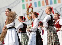 o1605258519.jpg
