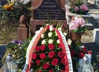 o337890352.jpg