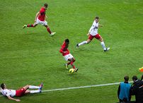 o813058141.jpg