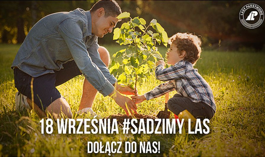 o310917593.jpg