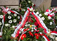 o5582698.jpg