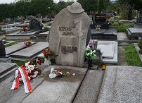 o549078150.jpg