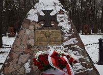 o236078181.jpg