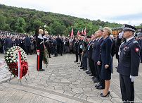o1196624331.jpg