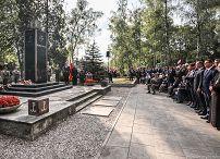 o1273499425.jpg