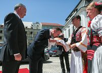 o1588003921.jpg