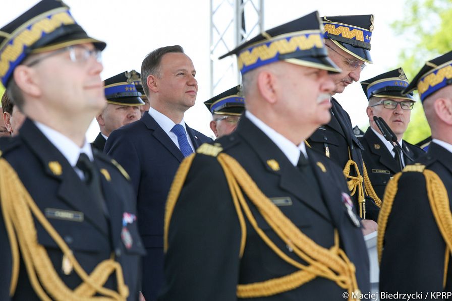 o1137296730.jpg