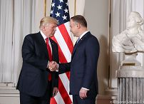 o766582116.jpg