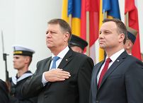 o794651555.jpg