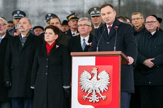 o1156113746.jpg