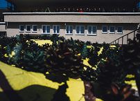 o1759909123.jpg