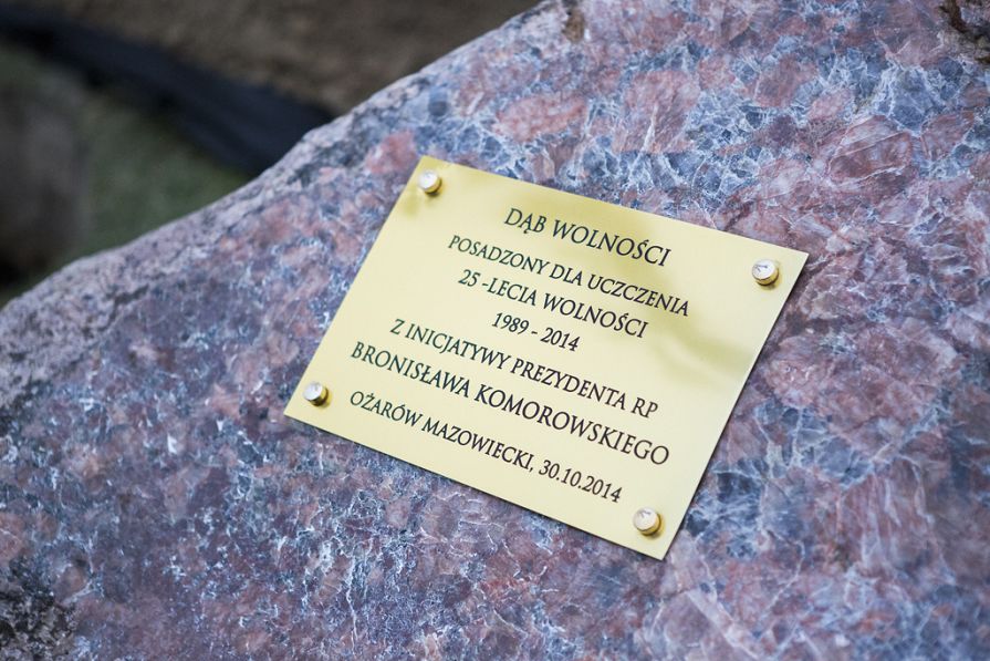 o831578685.jpg