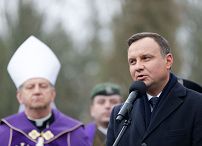 o737987158.jpg