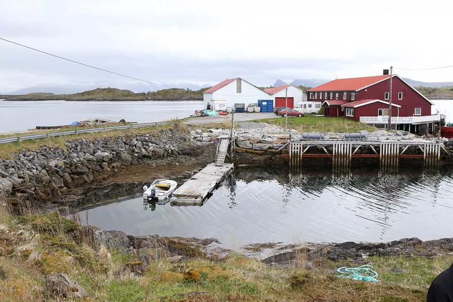 o1355474372.jpg