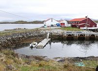 o1355474372.jpg
