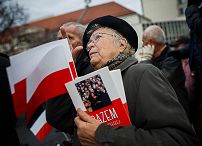 23galeria_20141111_0021.jpg