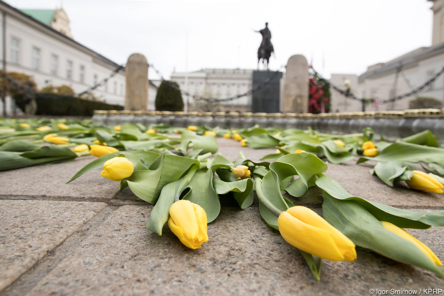 Wspomnienie śp. Pierwszej Damy Marii Kaczyńskiej - zdjęcie w treści artykułu nr 15