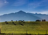 13kprp_20121005_pm_089.jpg