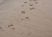 018_kprp_20110710_wg_004.jpg