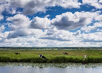 022_kprp_20120715_wg_004.jpg