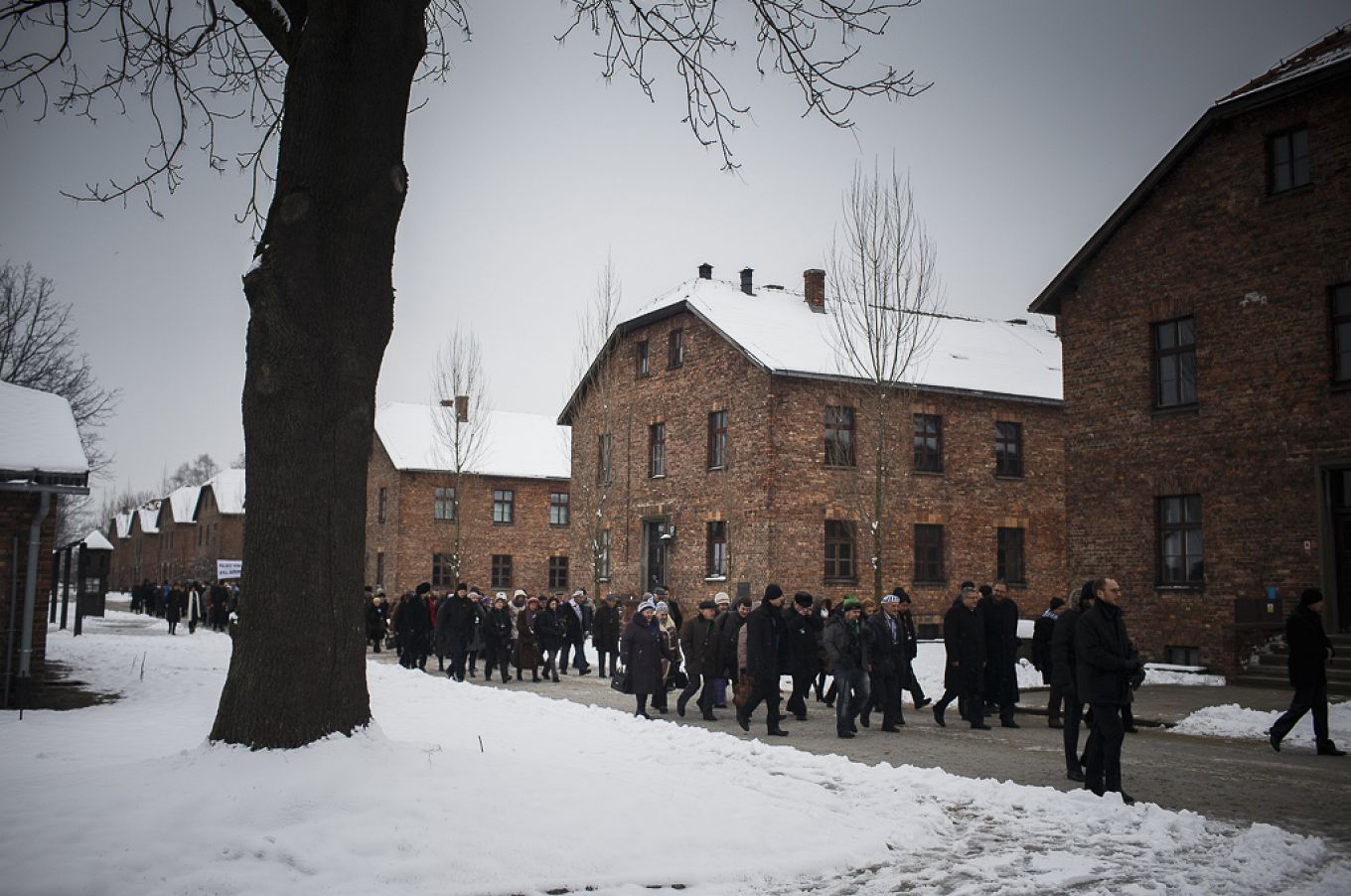 kprp_20150127_lk_0009.jpg