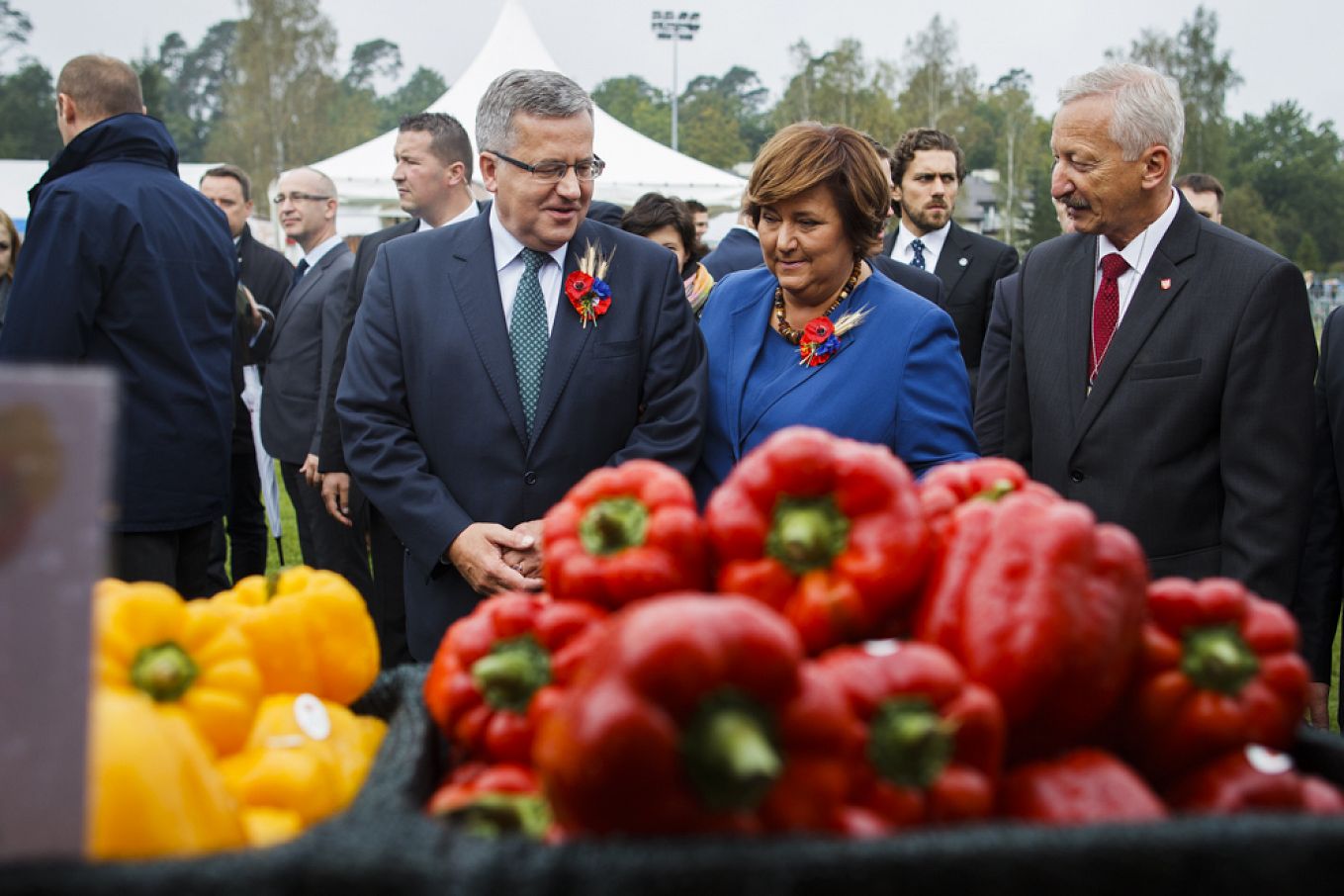 galeria_20140921_0002.jpg