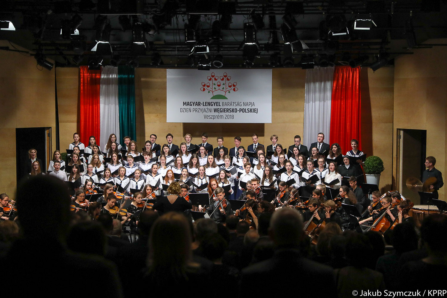Dzień Przyjaźni Polsko-Węgierskiej [PL/ENG] - zdjęcie w treści artykułu nr 11