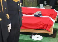 1525788742.jpg