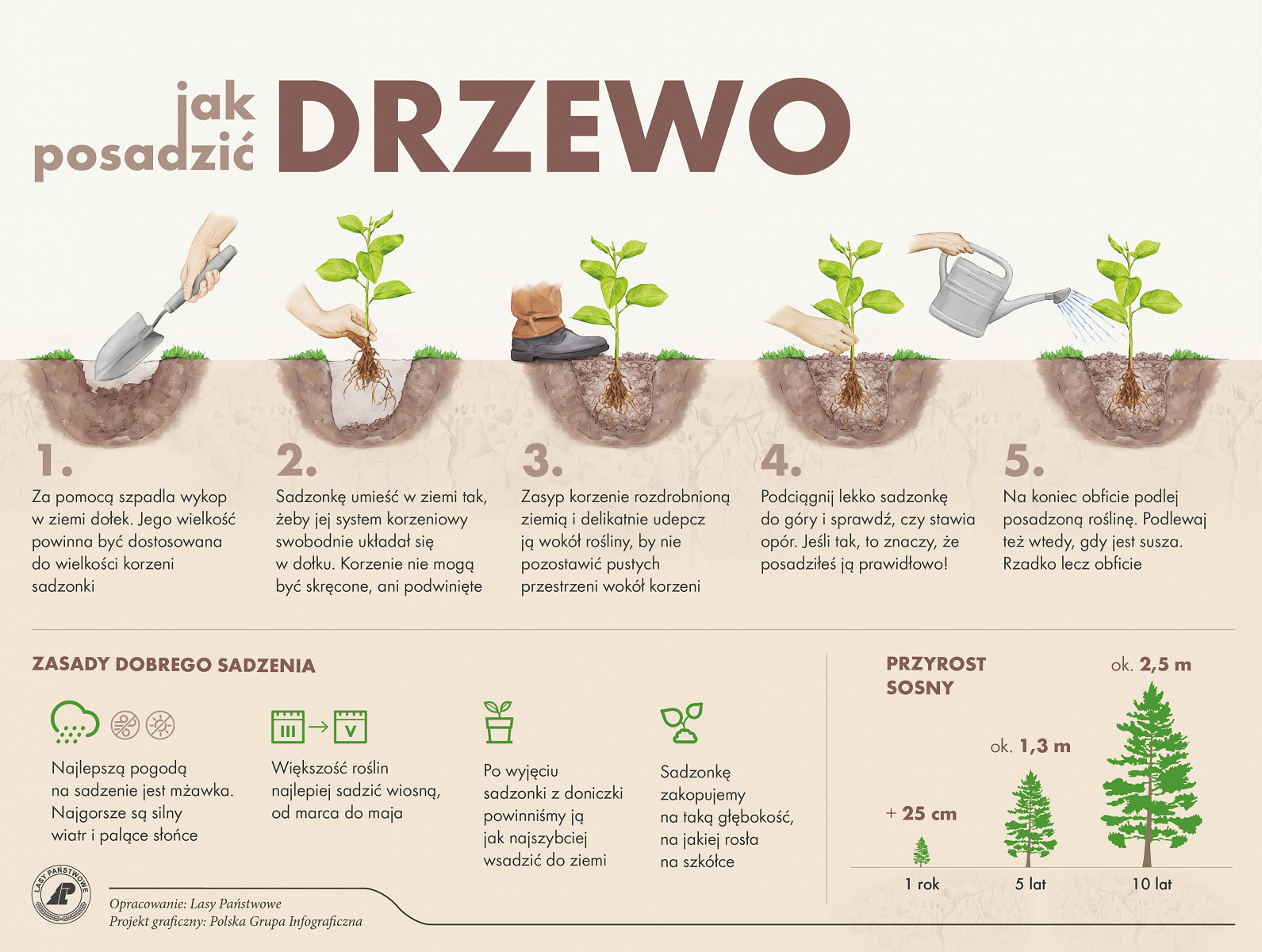 Para Prezydencka zainauguruje kolejną edycję akcji #sadziMY - zdjęcie w treści artykułu nr 1