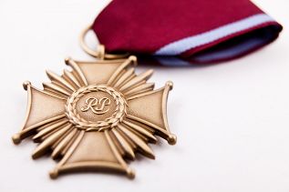 Brązowy Krzyż Zasługi