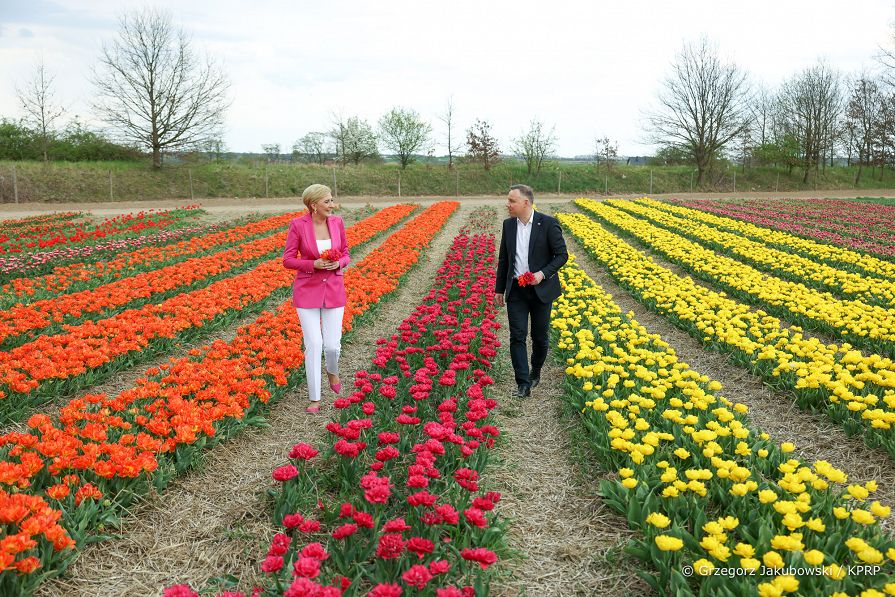 020_Para_Prezydencka_targi_tulipanow_Chrzypsko_20220501_GJB_2105.jpg