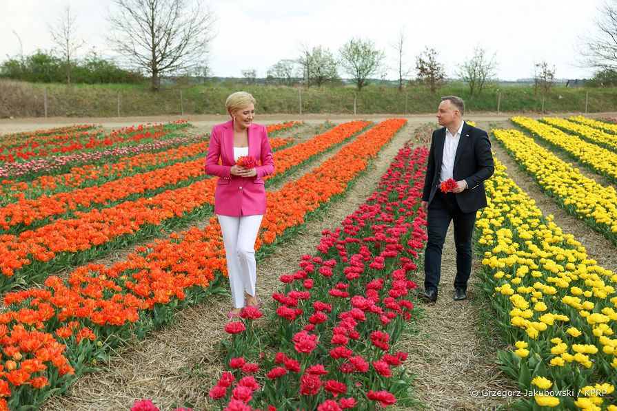 021_Para_Prezydencka_targi_tulipanow_Chrzypsko_20220501_GJB_2109.jpg